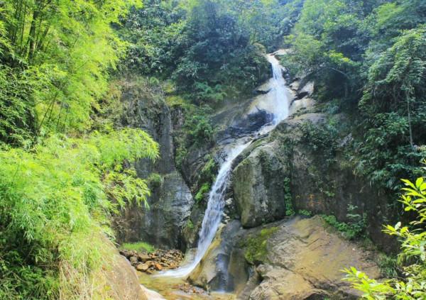 南嶺國家森林公園：廣東天然生態保護屏障，有廣東物種寶庫的美譽