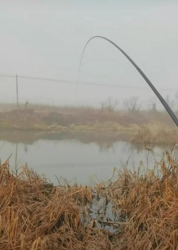 告訴你野釣的三句話真相,只有多替魚兒著想,魚兒才容易咬鉤 告訴你野釣的三句話真相,只有多替魚兒著想,魚兒才容易咬鉤