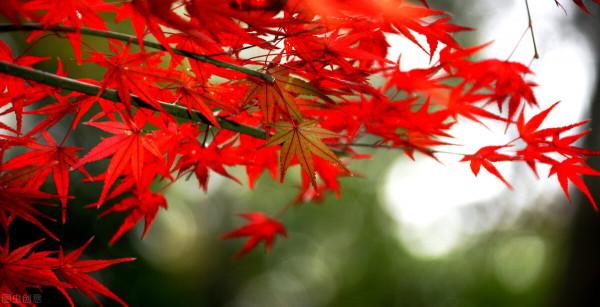 新年來臨前,要說的熱氣騰騰的心裡話…… 新年來臨前,要說的熱氣騰騰的心裡話……