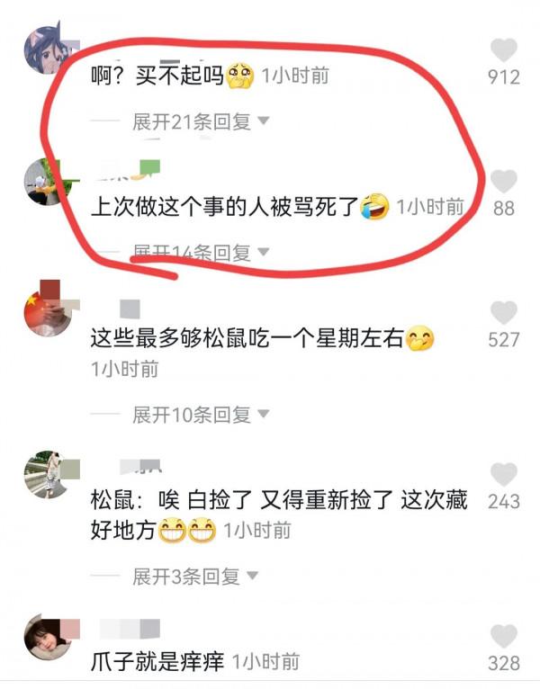 一網友因偷走小松鼠藏起來的過冬栗子被怒噴，第二天無奈還了回去