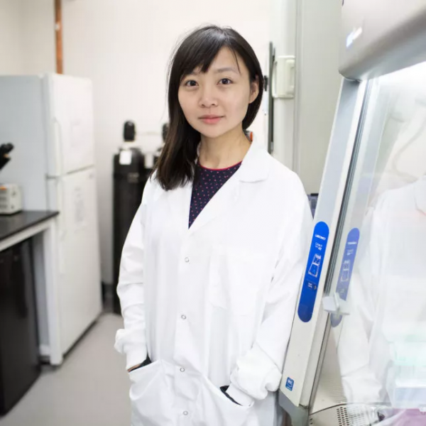 豬心移植人體的背後！川妹子學霸敲除豬致病基因，獲贊基因剪刀手