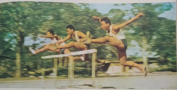 圖說上世紀七十年代的體育 圖說上世紀七十年代的體育