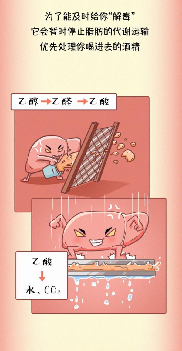 我們的肝臟是如何一步步受傷的？