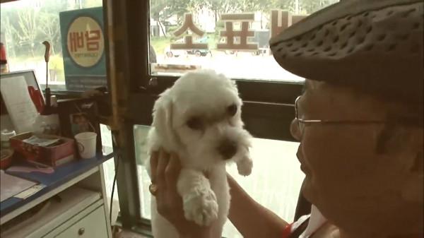 這隻狗狗是“商業奇才”,一天都堅守在售票口上,與人類“說話” 這隻狗狗是“商業奇才”,一天都堅守在售票口上,與人類“說話”