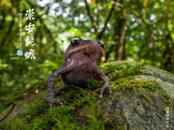 出發！看中國五大國家公園