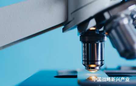 魚鰾有望成為新型血管材料