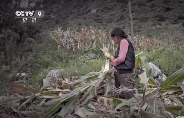 嫁貧困大山深處，丈夫去世嫁給丈夫弟弟，2016年她的好日子來了
