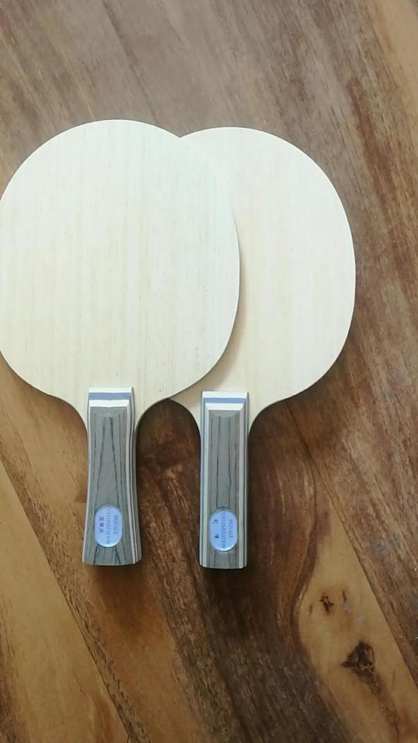 弧圈球訓練寶典