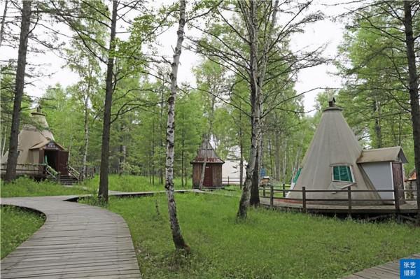 中國最後一支馴鹿部落：放養馴鹿為生，向遊客展示馴鹿部落遷徙史