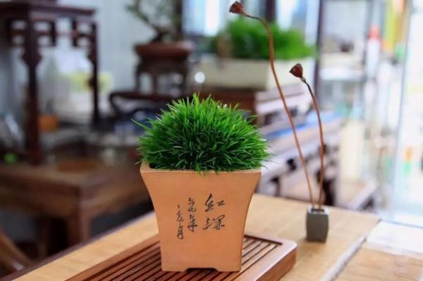 青青草一一感悟生活系列小詩