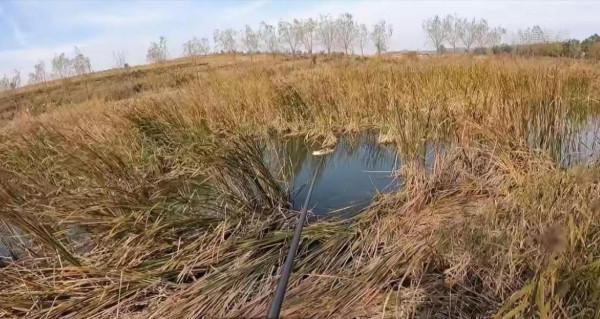 我為啥釣不過他？不是技術、窩餌的問題，答案在於他的三個做法