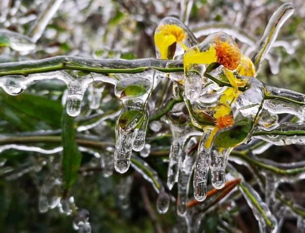 美國100多輛車連環相撞起火，塞車十幾公里，禍首竟是超純冰
