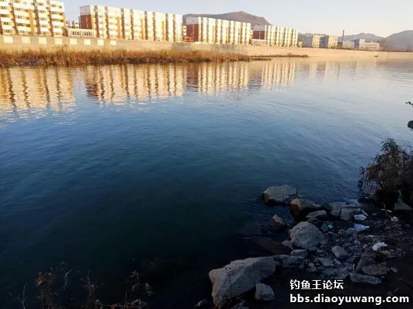 釣魚王餌兩腥配，帶來一次小豐收