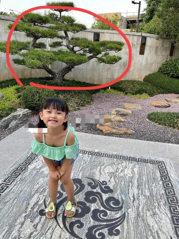 住花園別墅的窮人?深扒劉洲成前妻,各種奢侈品越看越豪 住花園別墅的窮人?深扒劉洲成前妻,各種奢侈品越看越豪