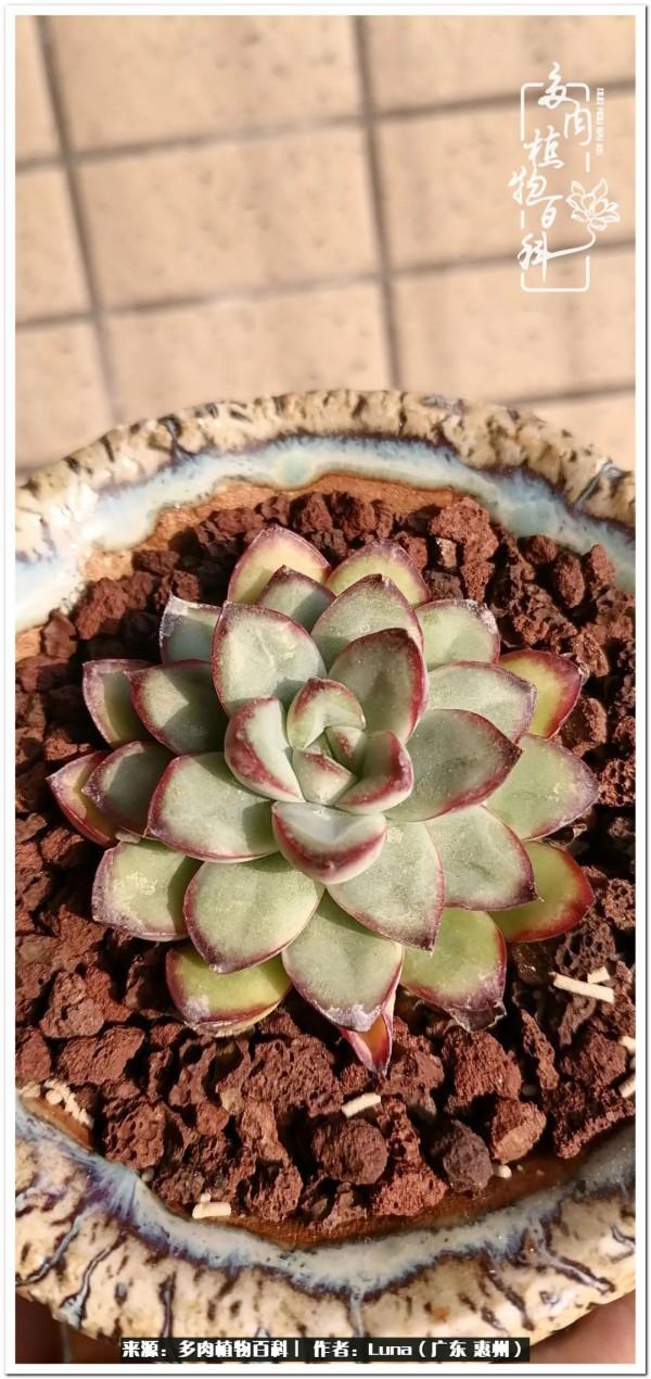 學會和解:與自己、與他人、與世界 學會和解:與自己、與他人、與世界