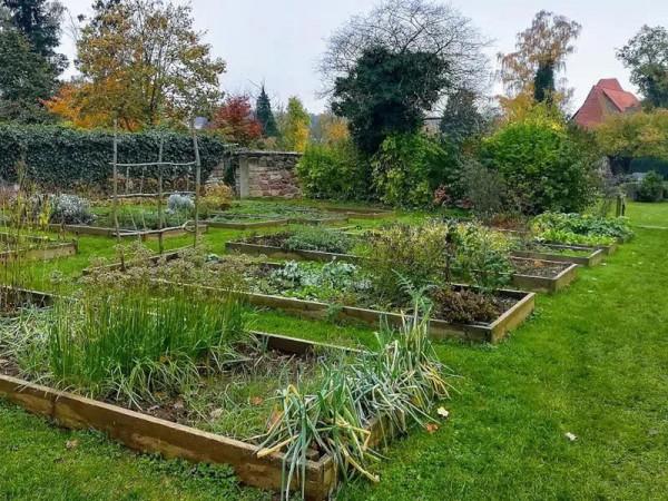 2018年她在釣到的魚裡發現金項鍊和24顆珍珠，後來怎麼樣了？