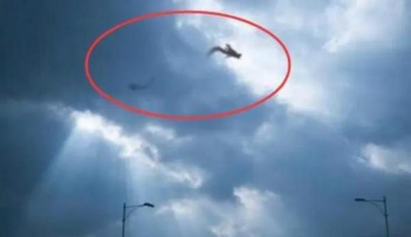 世界上到底有沒有龍