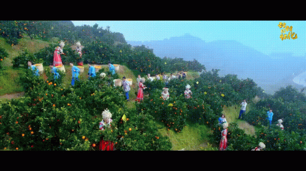 湖南這座城市不僅擁有“湘西最美高鐵”,還有沈從文最愛的開刀橘 湖南這座城市不僅擁有“湘西最美高鐵”,還有沈從文最愛的開刀橘