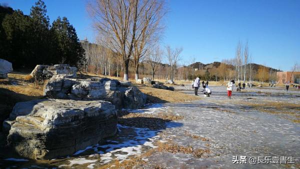 虎年初五遊覽白河城市森林公園