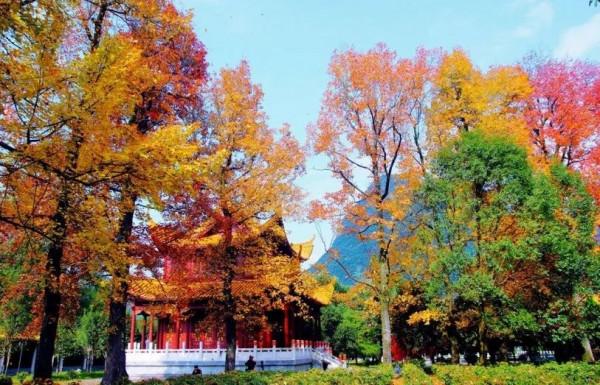 「打卡湖南」你瞧,湖南的秋天都在這 「打卡湖南」你瞧,湖南的秋天都在這