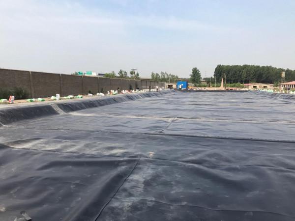 牛場沼氣池該如何建設呢？