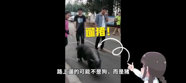 農業大學有多神奇?你可能一無所知…… 農業大學有多神奇?你可能一無所知……