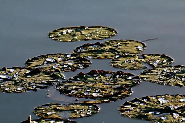 西北塞上江南——秋天