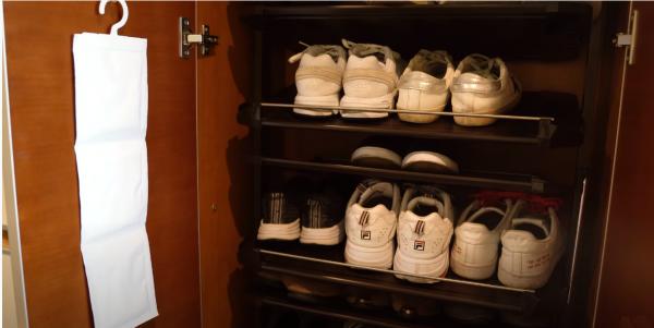 一人一狗，獨居生活有條有序，要是沒結婚，我也想過這樣的生活