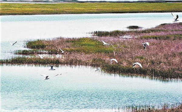 魅力宜居 唐王古城