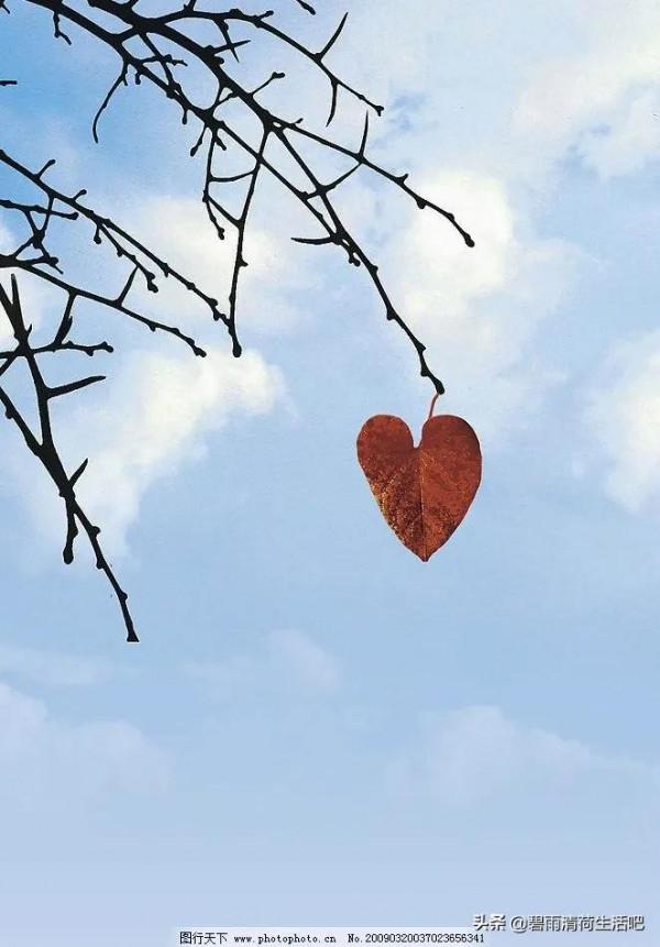 周姐的無悔人生 周姐的無悔人生