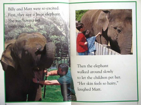 兒童英語科學啟蒙繪本DK Readers分級讀物DK pre--level 4