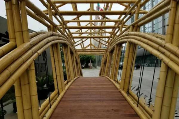 這樣的竹景觀,你能不愛嗎? 這樣的竹景觀,你能不愛嗎?