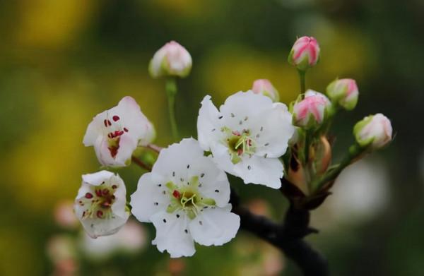 做人，別活得太精明，糊塗一點是福氣