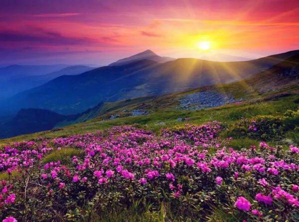 超美的自然風光分享（六十多幅畫）