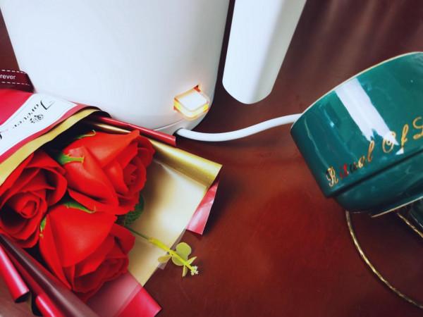 食品級，精準控溫，超平民價的米家電水壺2這麼6？