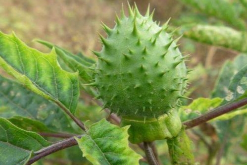 20個冷知識:也許你不信,但都是真實的 20個冷知識:也許你不信,但都是真實的