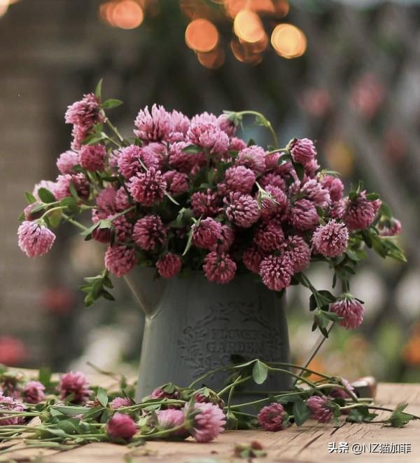 「推薦」改變自己，從控制體重開始