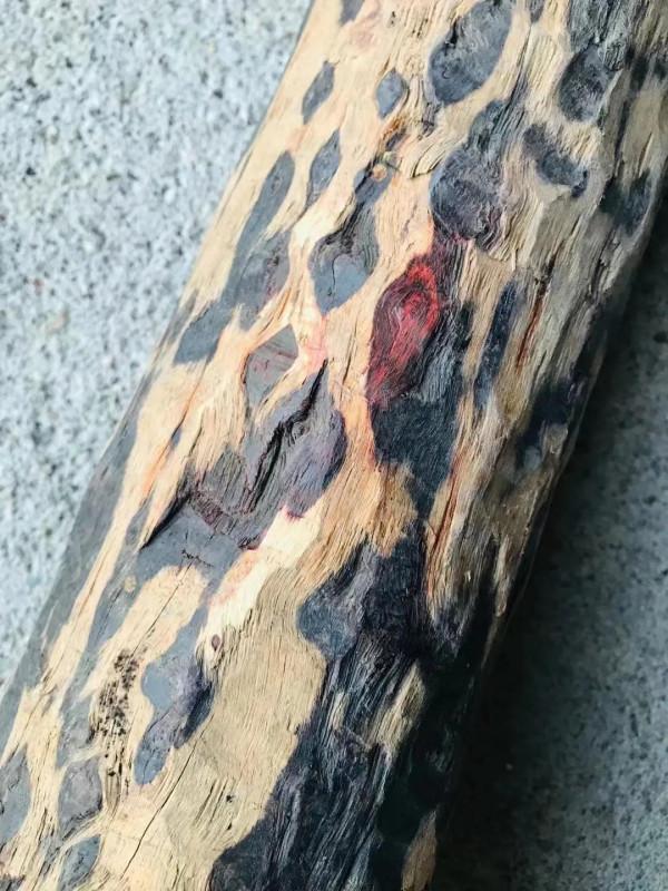 這根普普通通的木頭，竟然價值破萬？這就是紫檀啊