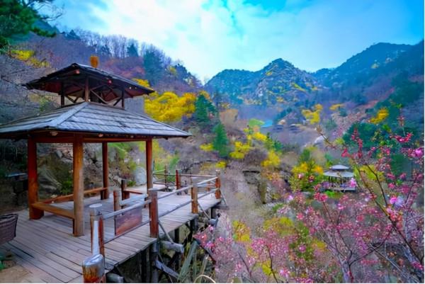 千元手機OPPOK5測評來了 千元手機OPPOK5測評來了