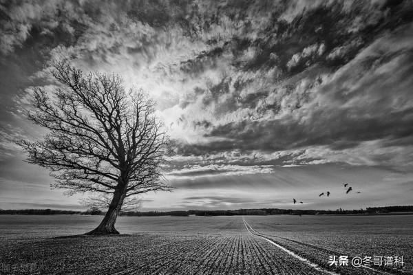 現實是一種幻覺嗎?不怕燒腦的進來 現實是一種幻覺嗎?不怕燒腦的進來