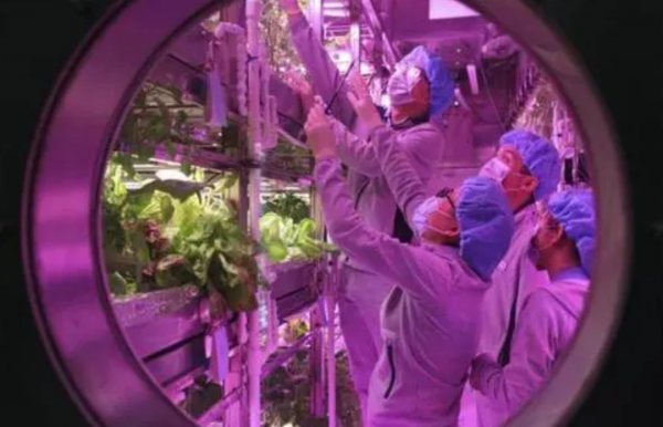 4男4女曾進行封閉空間實驗,結果發現,人類被一直“困”在地球? 4男4女曾進行封閉空間實驗,結果發現,人類被一直“困”在地球?