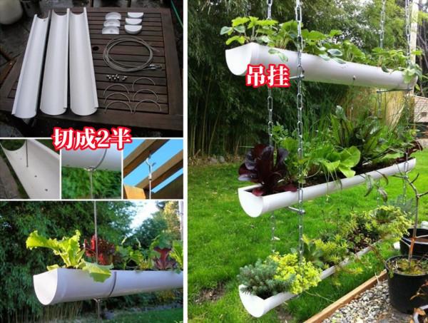我也準備撿桶去了！把油桶收拾乾淨，裁成2半放院子裡，填土種菜