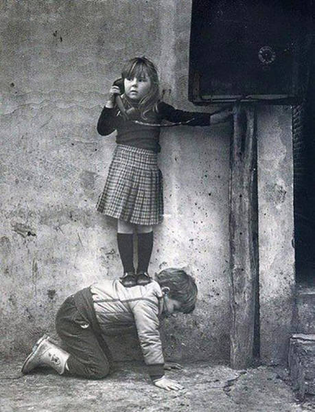 90個神奇照片，剛出生的小刺蝟，大白鯊的驚人尺寸，水上麻將桌椅