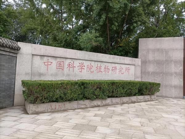 週末遛娃好去處，中科院植物研究所