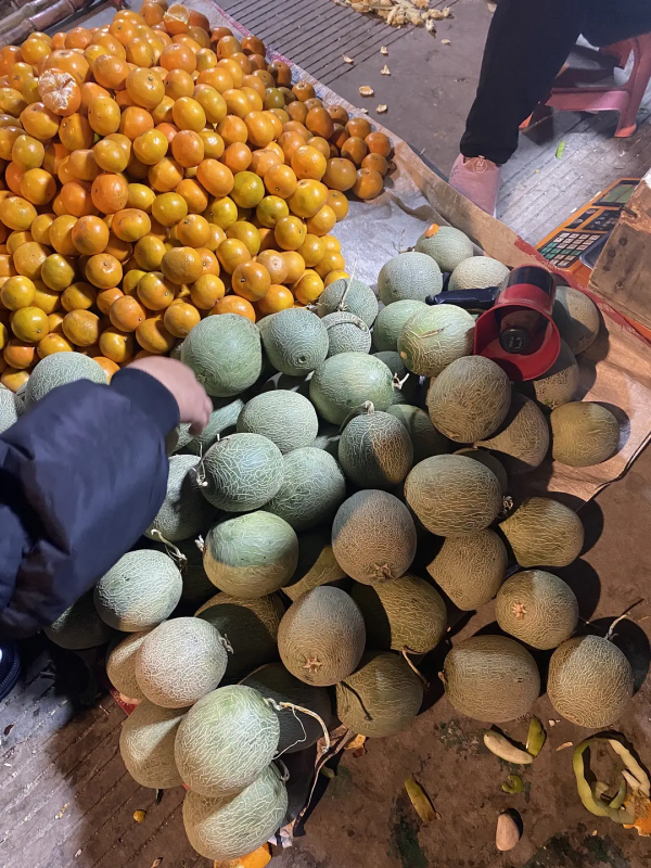 雲南紅河蒙自，大樹寨夜市