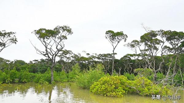 中國第一個世界健康城市,景色美物價還不高,適合12月來此養老旅居