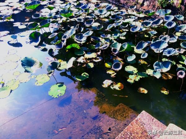 廣東最大的嶺南水鄉，投50億後被誤認為人造景區，只好再去拍一次