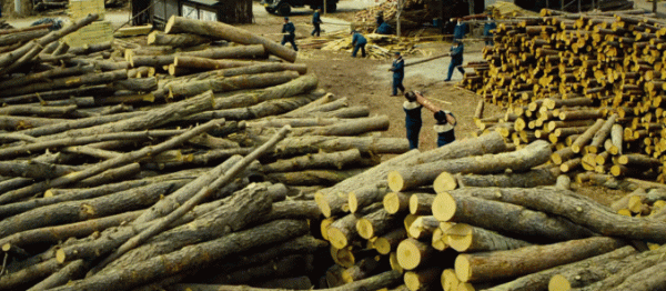 這是把最會演戲的人都薅到了一起？