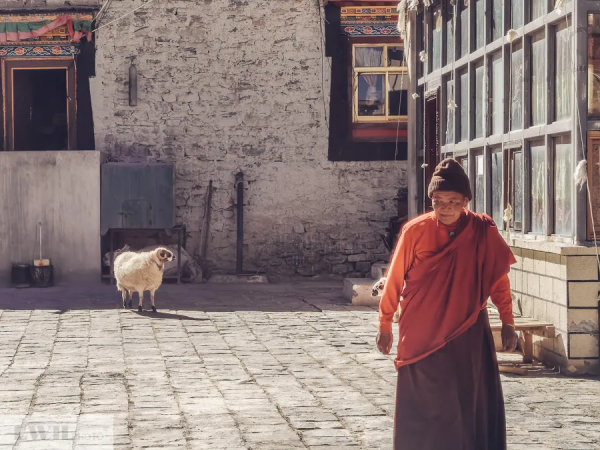 兩個人，一輛車，阿里北線無人區穿越