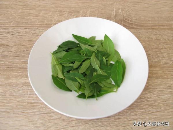 吃&OpenCurlyDoubleQuote;春季第一芽&rdquo;，養肝明目還清熱